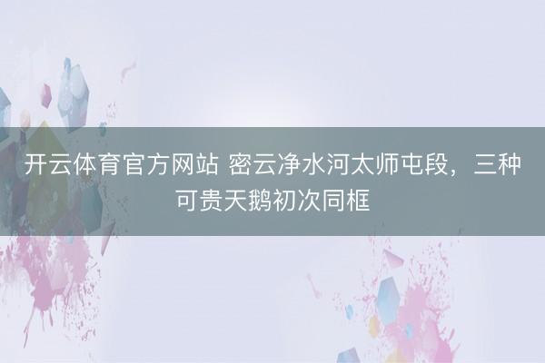 开云体育官方网站 密云净水河太师屯段，三种可贵天鹅初次同框