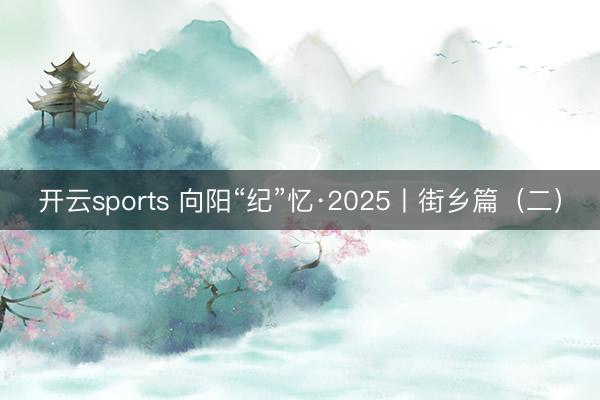 开云sports 向阳“纪”忆·2025丨街乡篇（二）