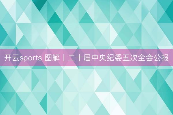 开云sports 图解丨二十届中央纪委五次全会公报