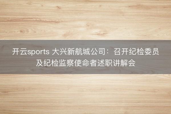 开云sports 大兴新航城公司：召开纪检委员及纪检监察使命者述职讲解会