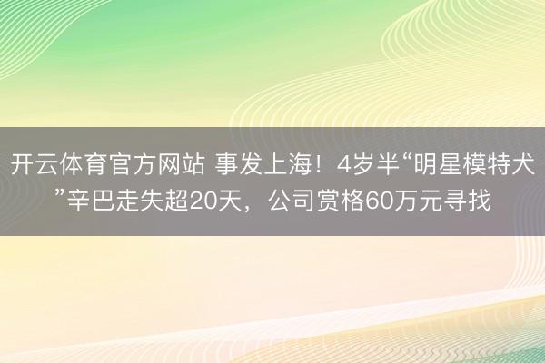 开云体育官方网站 事发上海!4岁半“明星模特犬”辛巴走失超20天,公司赏格60万元寻找