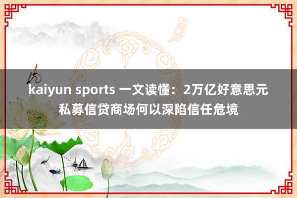 kaiyun sports 一文读懂：2万亿好意思元私募信贷商场何以深陷信任危境