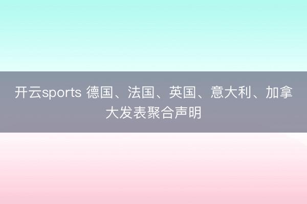开云sports 德国、法国、英国、意大利、加拿大发表聚合声明