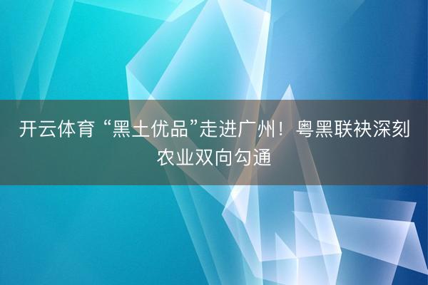 开云体育 “黑土优品”走进广州！粤黑联袂深刻农业双向勾通