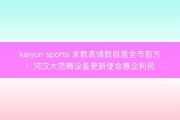kaiyun sports 求教表情数目居全市前方!河汉大范畴设备更新使命惠企利民