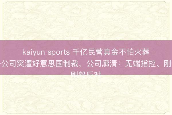 kaiyun sports 千亿民营真金不怕火葬巨头子公司突遭好意思国制裁，公司廓清：无端指控、刚毅反对